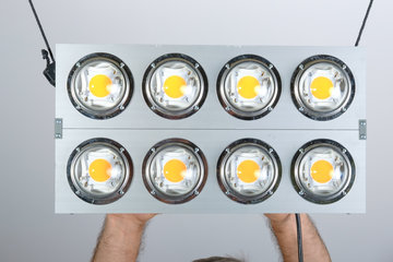 Spectro Light Xplosion 800w led-kweeklampen